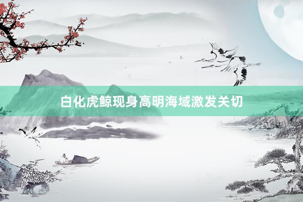 白化虎鲸现身高明海域激发关切